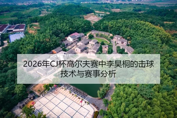 2026年CJ杯高尔夫赛中李昊桐的击球技术与赛事分析