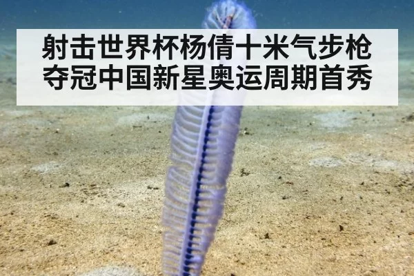 射击世界杯杨倩十米气步枪夺冠中国新星奥运周期首秀